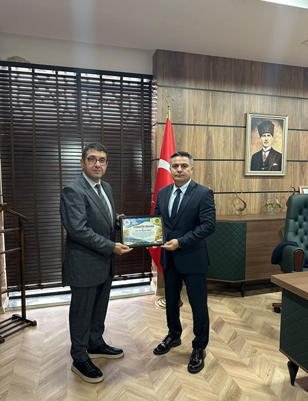 BAFRA PİRİNCİ