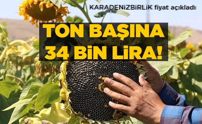 TON BAŞINA 34 BİN LİRA!